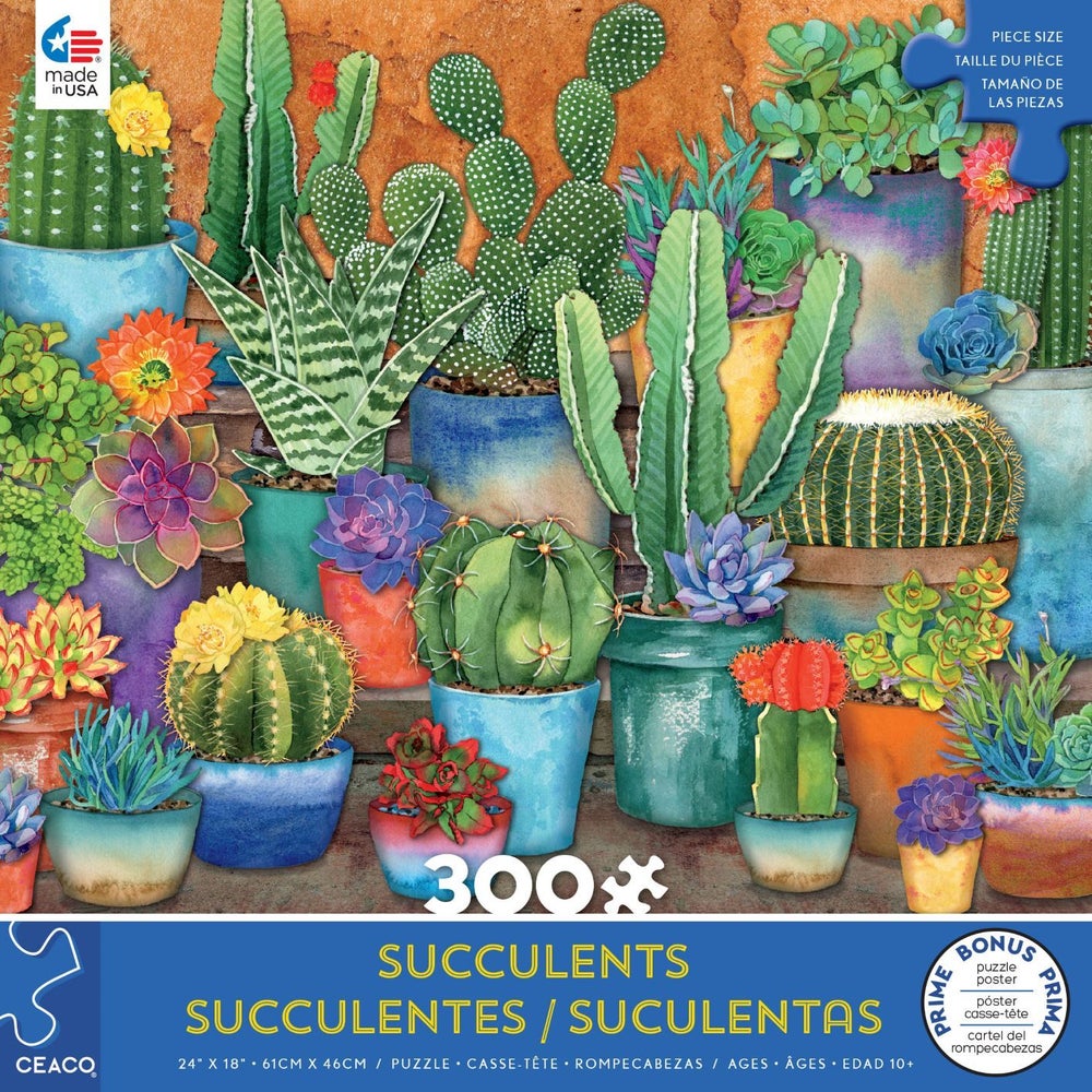 300PC OVERSIZED SUCCULENTS ASST (6) BL